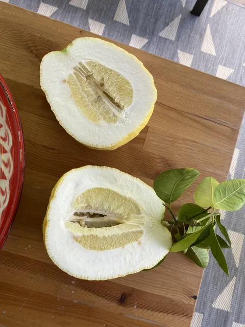 My lemon tree always gives out giant, mutated lemons