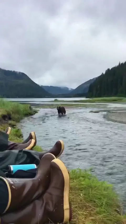 🔥Normal day in Alaska