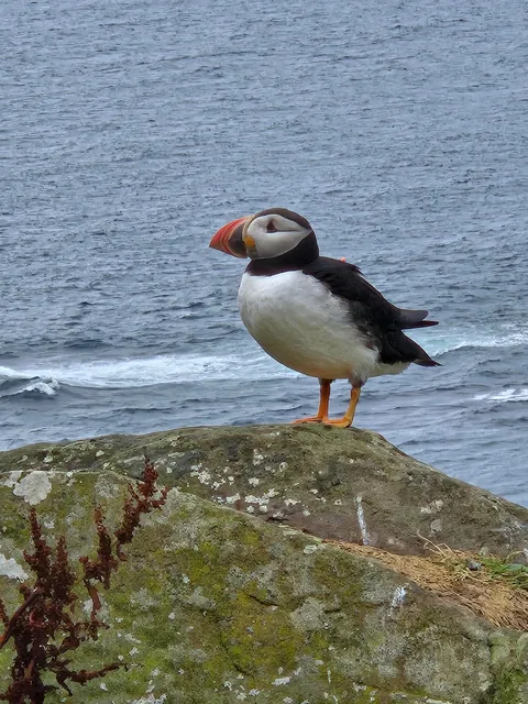 Scottish Highlands - July 2024
