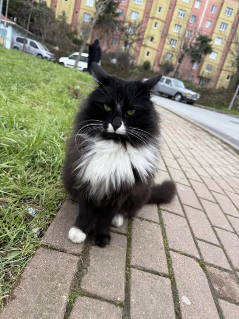 A gentleman in Istanbul.