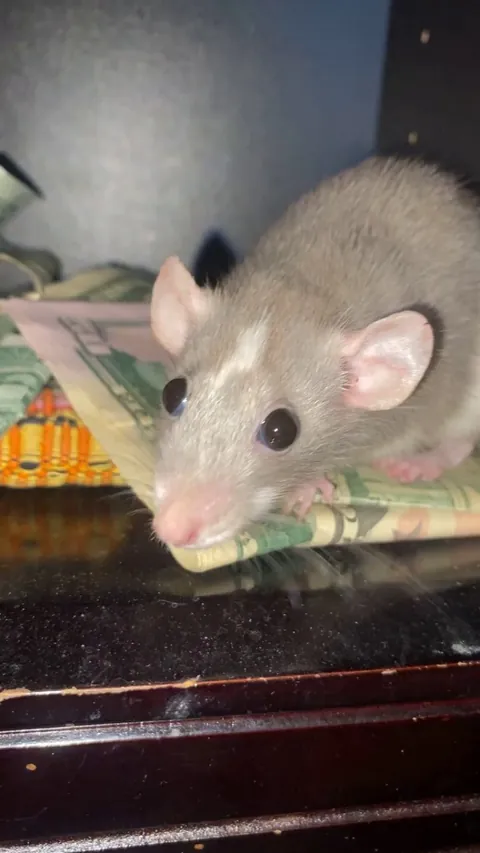 Caught trying to steal my money