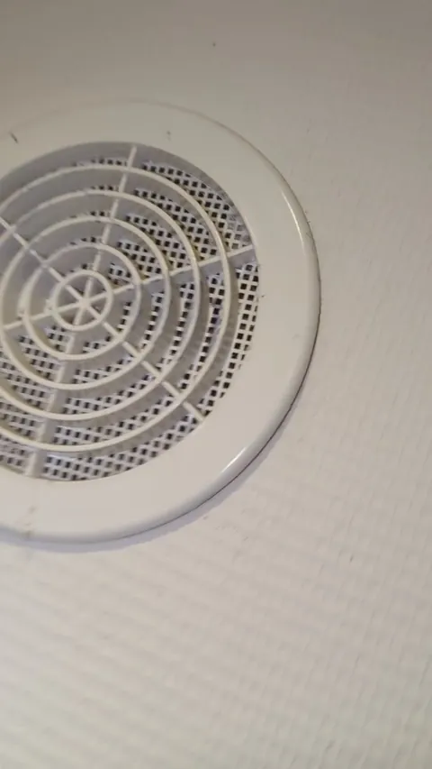 Heard a buzzing noise through the vent, turns out it's a whole army of wasps...