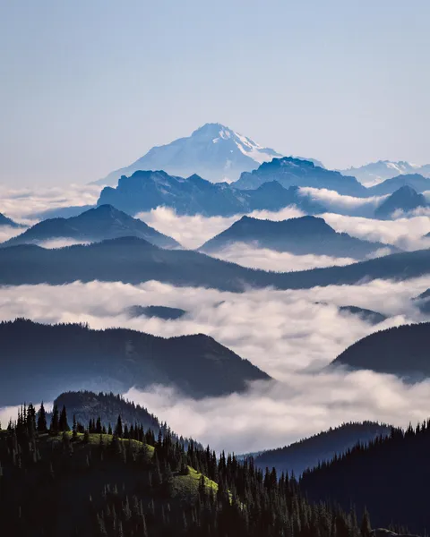Layers on layers seen hiking around Mt Rainier (OC) [1600x2000]
