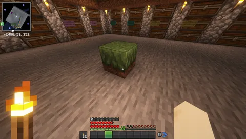 The funny enderman watched me sort items into chests for a long time, and before he left he left me this gift