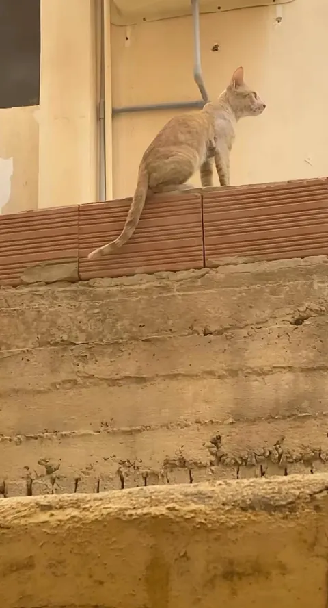 She's in love with a criminal.😛❤️