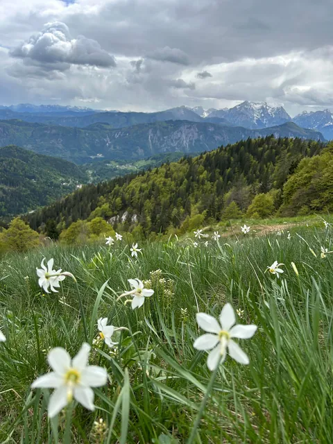 Just got back from Slovenia, absolutely incredible