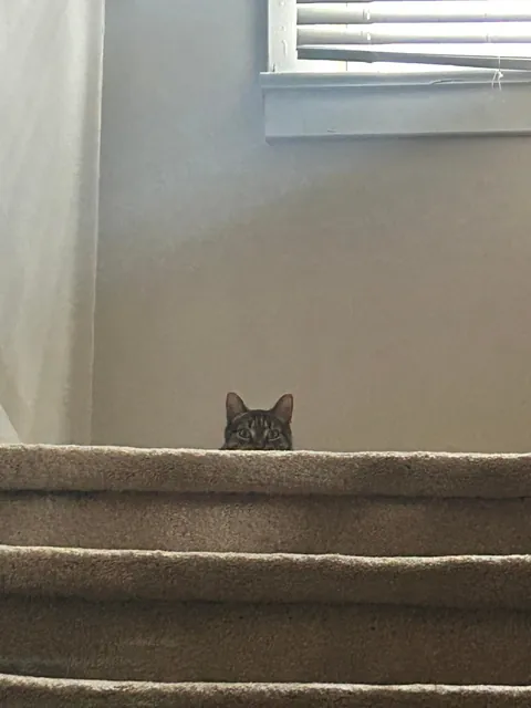 Look at this creep 😩 Show me your lunatic stalkers pls. I’ll go first: