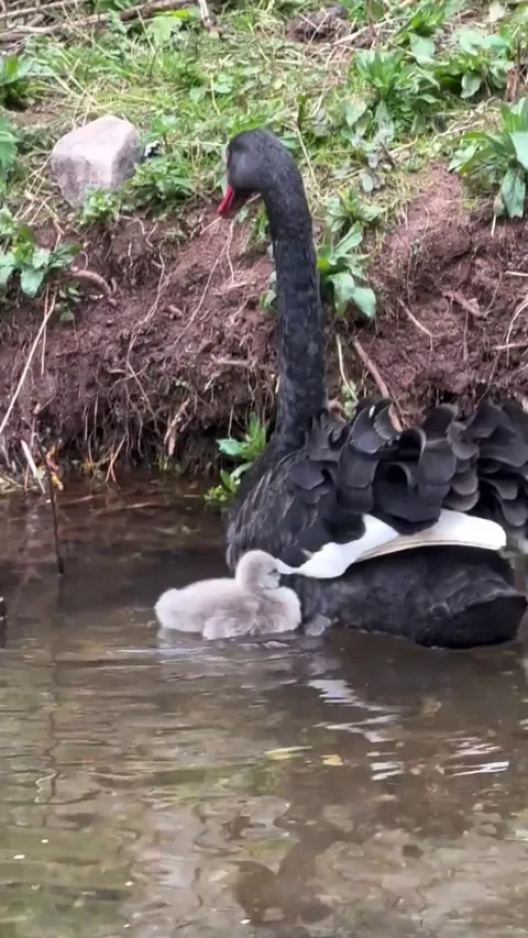 Taking a window seat in Daddy’s Bus