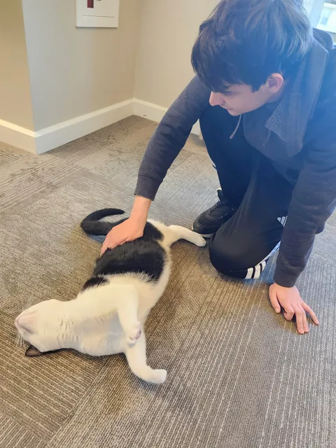 This is max, he is the cat of an old lady i deliver packages too. He is also incredibly friendly.