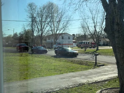 My dog saved a little kid