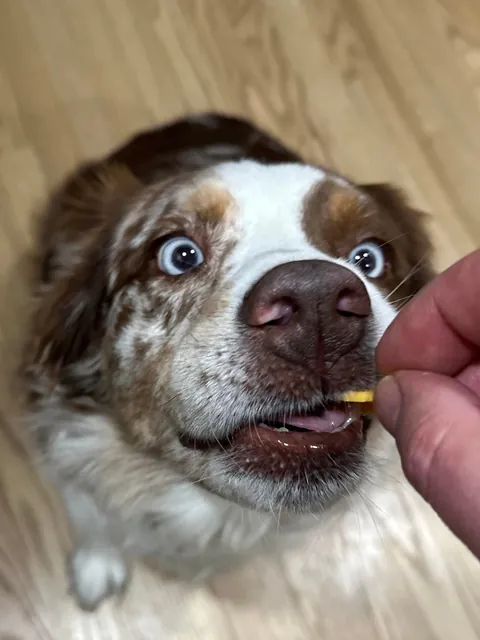 [homemade] prime rib, salami and cheddar