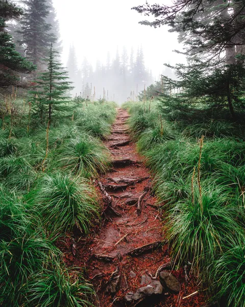 Hiking Mt. Hood! [OC][3582x4477]