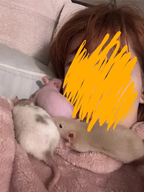 Baby rats too cuddly? Are they sick or something?