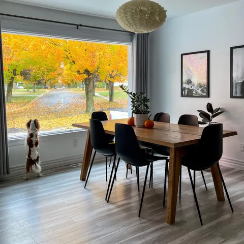 First Fall in our new home!