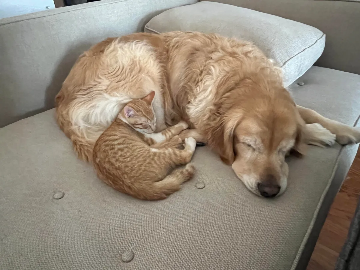 JimJim loves his Clover dog