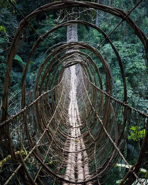 A Hanging bridge in Boleng, Arunachal Pradesh, India.