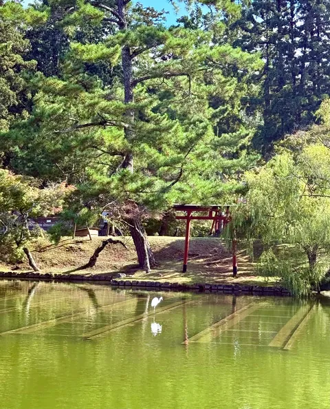 You don’t need 20,000 steps a day or every hyped-up restaurant to enjoy Japan