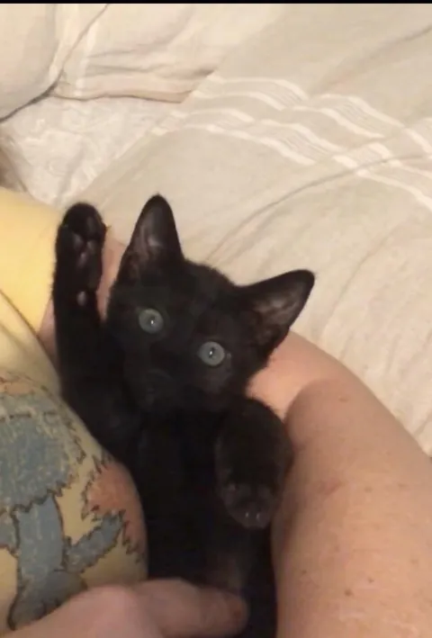 Hello world! I am here!