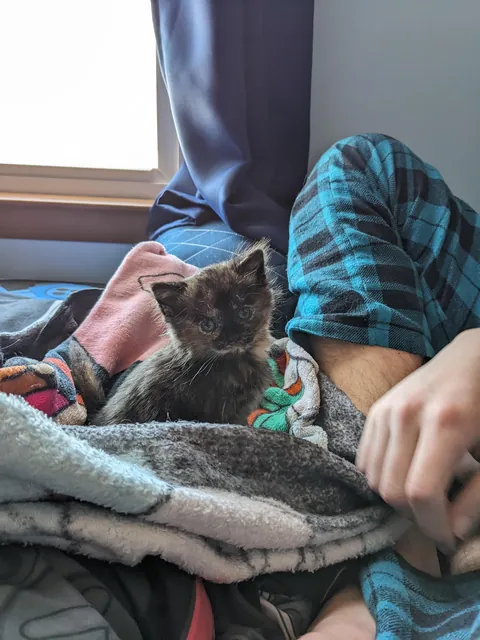 Updates on the sweet ice princess, Elsa!