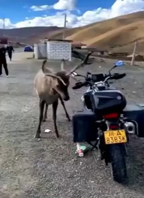 To hell with this bike in particular