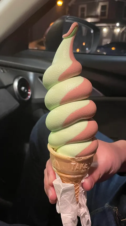 chubby ice cream! (pistachio &amp; chocolate)