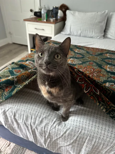 Saying goodbye to my sweet bear tomorrow morning. Wanted to share her beauty with you all