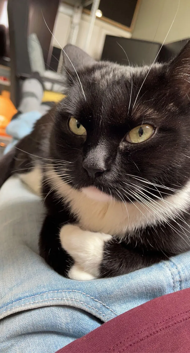 My little lady is already 6, time flies