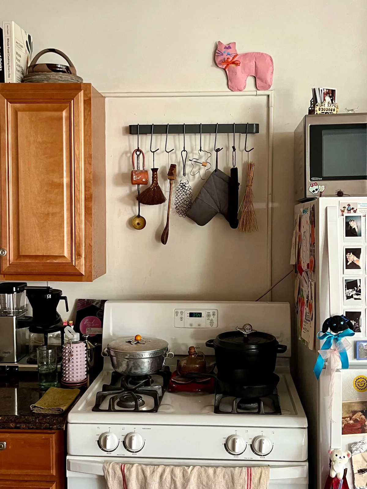 Home Is Where 🐈 Is