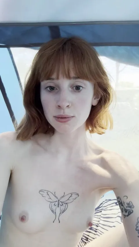 the neighbors arrived