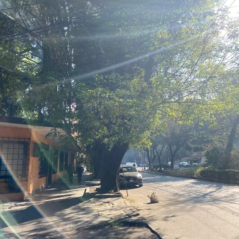 Mexico City had the Lushest, Greenest, Most Beautiful Neighborhoods I've Ever Seen