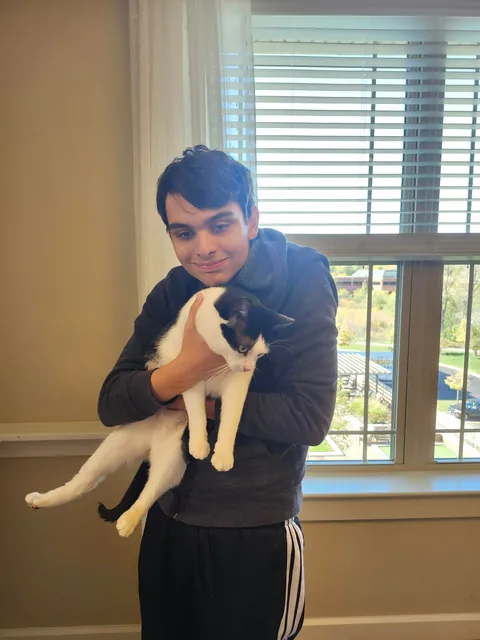 This is max, he is the cat of an old lady i deliver packages too. He is also incredibly friendly.