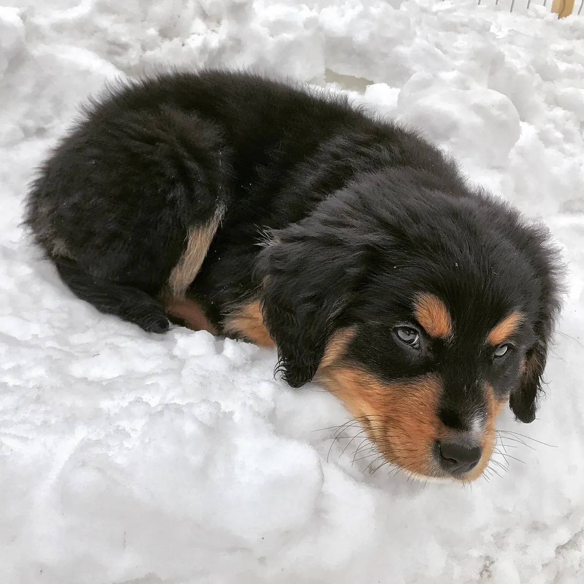 6 years later and we have a wise older brother in the making. ❤️🥰