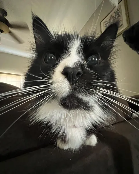 Cookie is 25 today! Tell her Happy Birthday 🥳❤️