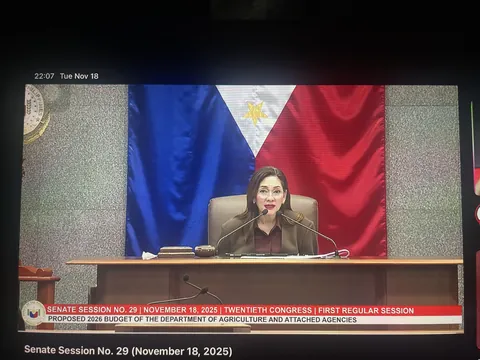 Sen. Risa Hontiveros has presided the senate hearing. ❤️