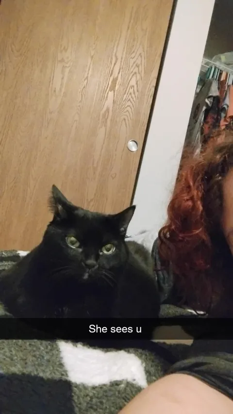 The post that changed my life and gave me my girl