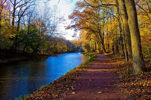 Fall Path - (1. Pixel Art - 2. Acrylic Painting - 3. Reference Photo)