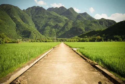 I got lost in the rice fields of the Mai Chau village, Vietnam