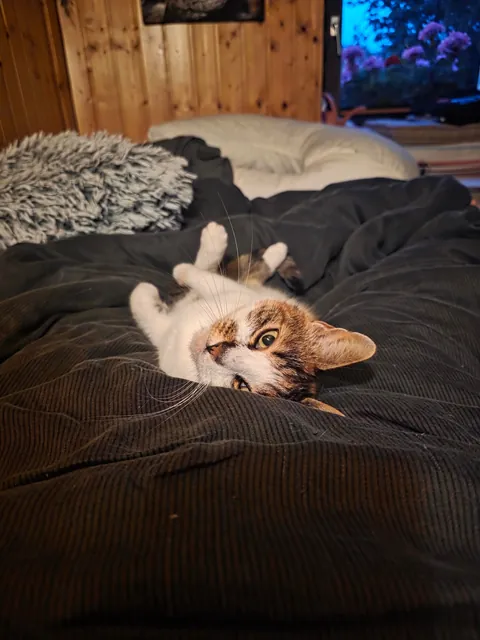 My best friend went missing 9 days ago