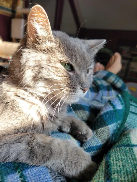 My 21 year old tiny girl enjoying a lazy Sunday