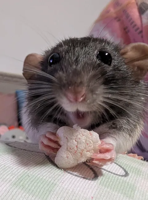 The Definition of Happiness! 🥹