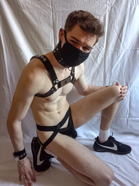 What do you think about my new harness?