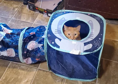 Abed is convinced I can't see him.