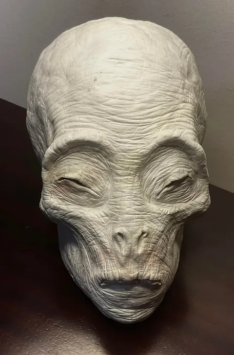 I made this alien head out of clay.Any ideas for details I should add or how I should paint it?