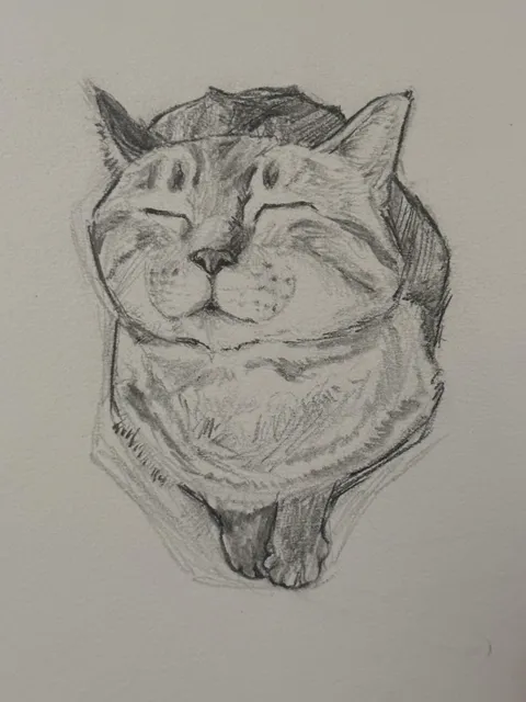 Let me draw your cats!