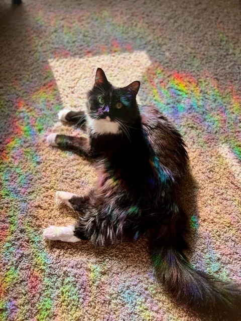 Had to say goodbye to my best friend