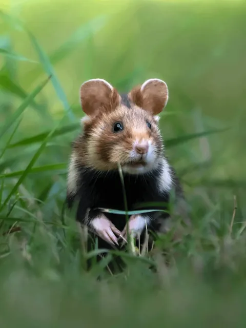 Photographer Shows His POV vs The Photos He Takes.