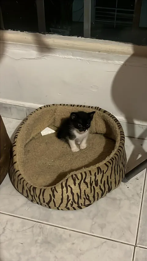 I just want to leave it here