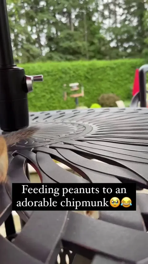 She was showing she had room for two peanuts😂