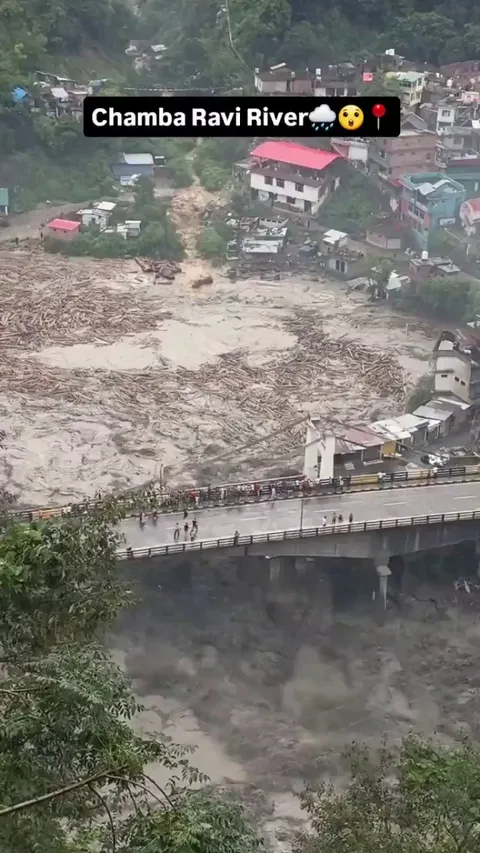 Nature is sending a warning… excessive wood logs in the Ravi River indicate active wood mafia operations in Himachal Pradesh , India. Visuals from ravi river Chamba.