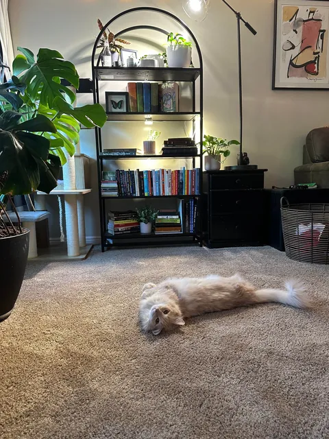 Gahwd I love him 💕